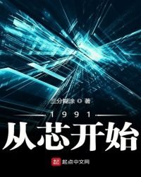 1991从芯开始
